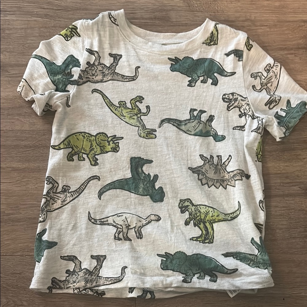 Old Navy Green and Gray Short Sleeve Tee with Dinosaur Print